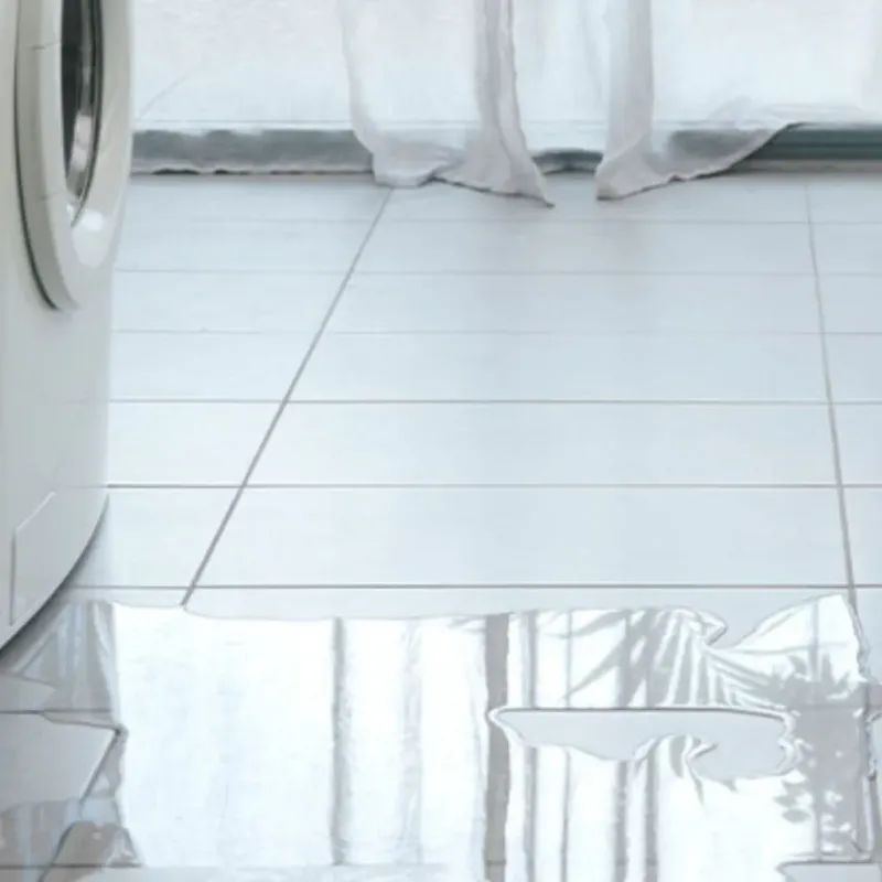 Appliance Leak Cleanup in Jerome, IL