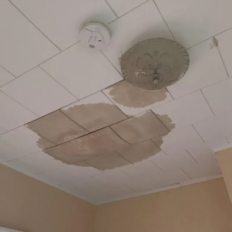 Ceiling Water Damage Repair in Jerome, IL
