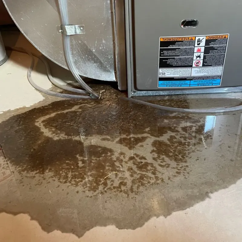 Pipe Burst and Leak Restoration in Jerome, IL