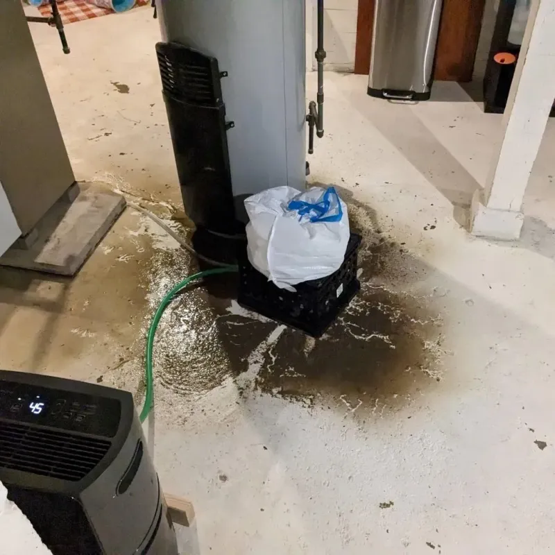 Sewage Backup Cleanup Service in Jerome, IL